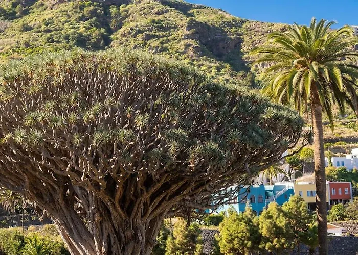 Cerca Del Drago إيكود ذي لوس فينوس